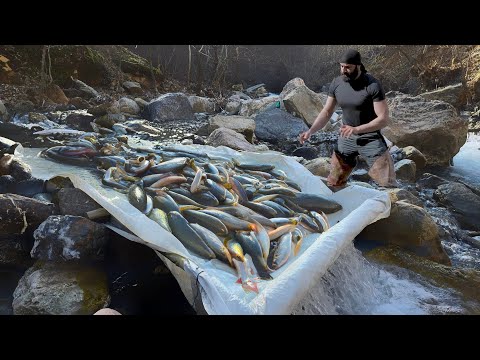 Dünya'nın En Basit Balık Tutma Tekniği / THE WORLD'S SIMPLE