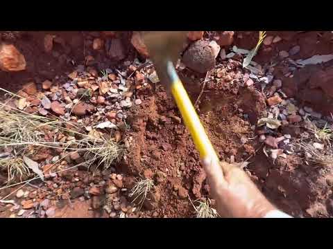 A few nice bits of gold in a little creek