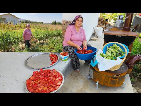 KIŞLIK HAZIRLIKLARI BİTMİYOR DOMATES KURUSU
