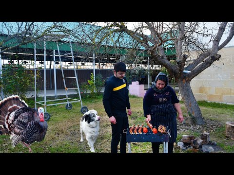 Cooking Turkey Kebab with Vegetables | Country Life, Cooked