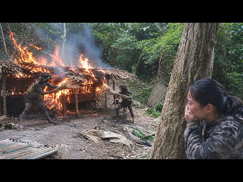 The Forest Man Destroyed My Shelter, and I Began a Journey