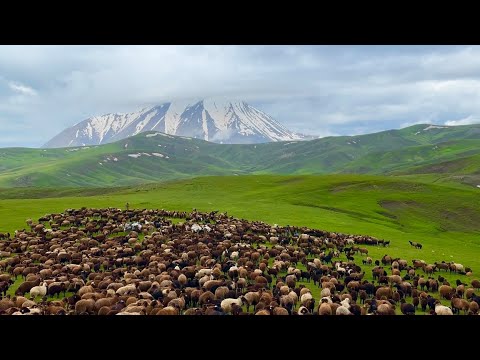 KÖSEDAĞA DOĞRU(17 BÖLÜM)