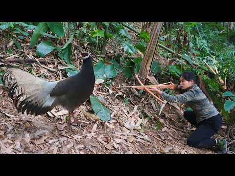 perfect shelter, winter survival, wild chicken hunting
