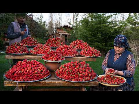 Village Baking Day – Sweet Strawberry Pie & Homemade Jam