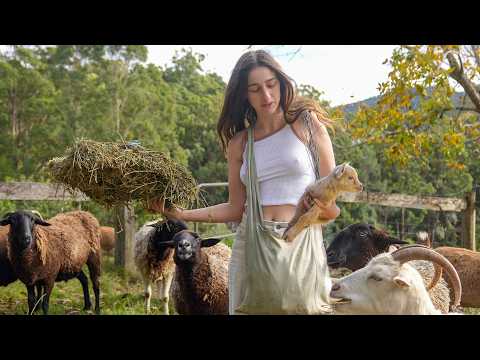Raw Reality of Off Grid Farm Life: Baby Goats Born and Our