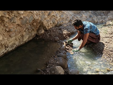 I REVIVED a Dying Mountain Pond — Fish & Birds Returned