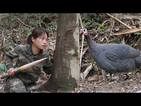 wild pheasant hunting, wild bird trapping skills, survival