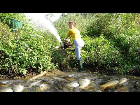 Fishing Technology - The Girl Use a Pump To Suck Water Out