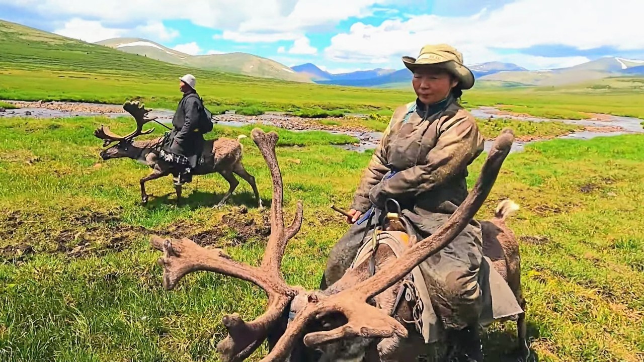 Tsaatan : Les derniers nomades de Mongolie