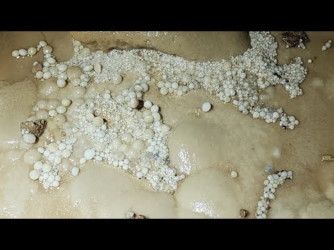 Ancient Pearls Found In A Massive 500Ft Deep Cave