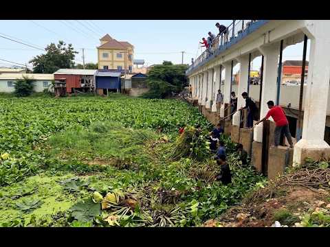 Crucial Mission Clearing Sluice Gates by Removing Floating