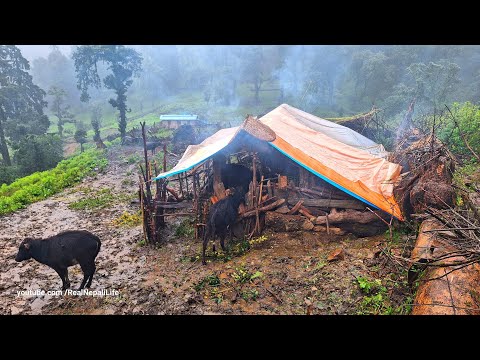 Naturally Most Beautiful Nepali Mountain Village Life in