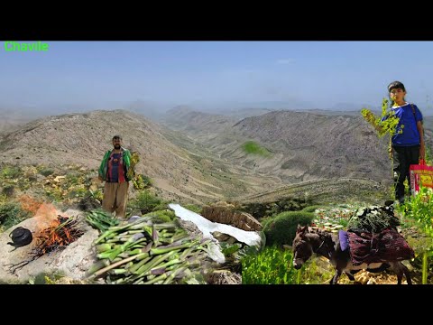 Hidden Treasures of the Zagros Mountains Nomad Family