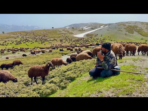 OTLU ARAZİYE GEÇTİK - GÜN BOYU SERT RÜZGAR ESTİ (14 BÖLÜM )