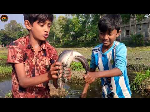Beautiful Village Smart Boy Very Big Fish Catching By Hand