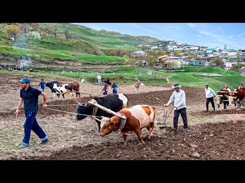 How People Live in Remote Mountain Villages of Dagestan —