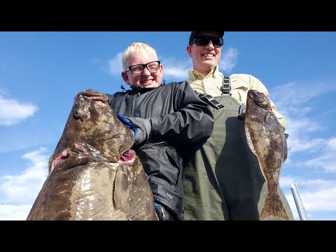 Halibut Catch & Cook - Catching Halibut with Light Tackle