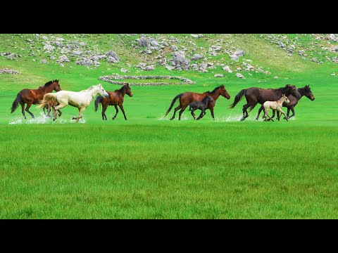 Seydişehir: Sporun ve Doğanın Kalbindeki Gizli Cennet!