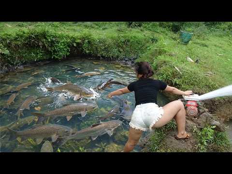 Hunting Wild Fish: Enjoy The Thrill of Fishing on Lakes,