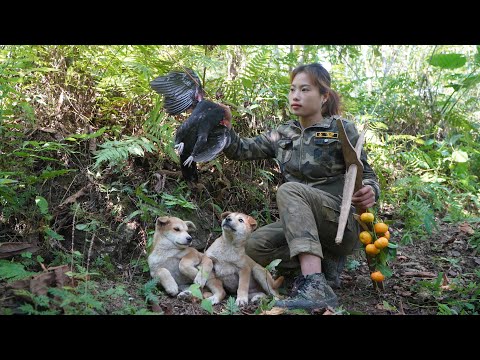Skill, hunting wild chickens, with a magical crossbow,