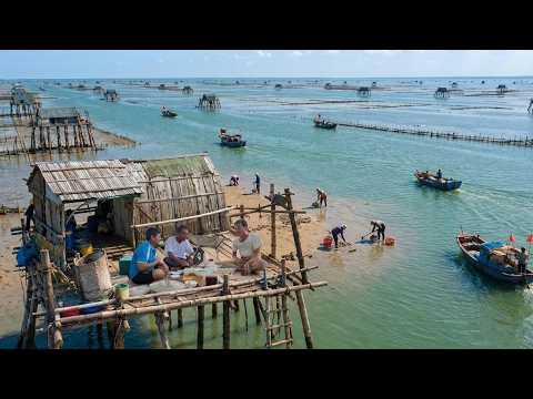 A Day in a Floating Hut | 70-Year-Old Clam Farmer’s Life in