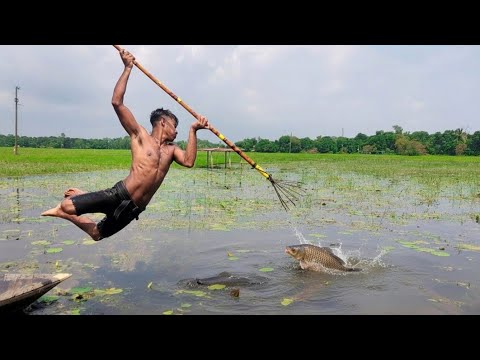 Epic Boat Fishing with Bamboo Teta টেটা দিয়ে নৌকায় মাছ
