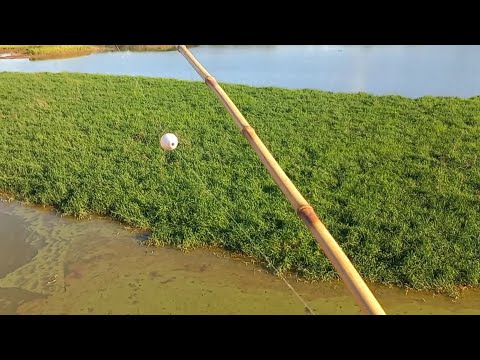 Era jogar e a boia afundar uma maior que a outra cardume na