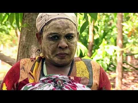 Les îles incroyables de l'océan Indien