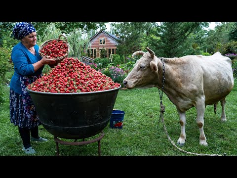 Homemade Strawberry Orange Jam Recipe