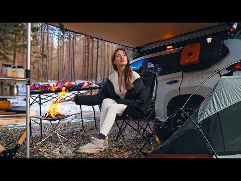 Solo Van Camping Cozy Flames & Cats ASMR