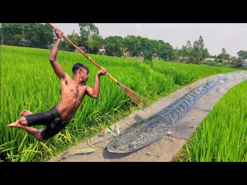 Top Fishing Video 2023 Experts Fisherman Big Fish Catching
