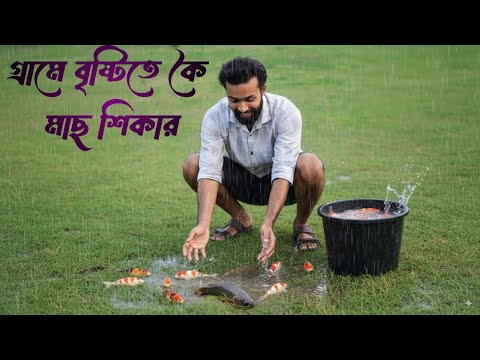 Traditional Koi Fishing in Rainy Village / গ্রামে বৃষ্টিতে