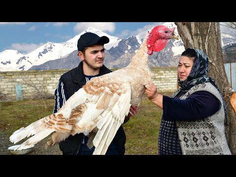 Cooking Huge Turkey on the Campfire | Country Style Cooking