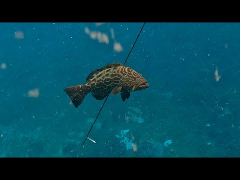 Finding New Spots Spearfishing Trinidad's Far Offshore