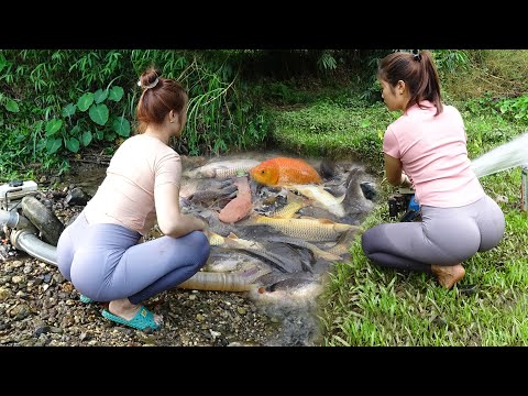 Top Videos: Amazing Fishing, Making Fish Traps, Unique