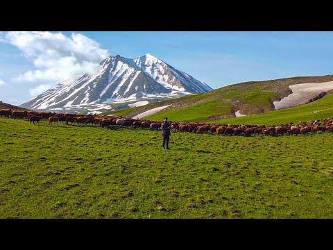 İLKBAHAR GÖÇ YOLCULUĞU TÜM DRON GÖRÜNTÜLERİ - KARLI DAĞLAR