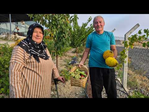 KÖYDE DOĞAL YAŞAM YİNE BAHÇE HASATIMIZ HATİCE HANIMIN KÜÇÜK