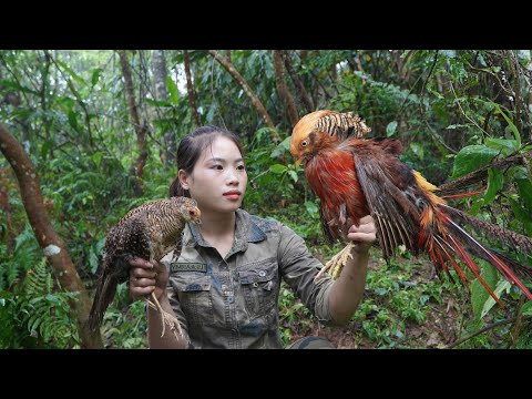 200 days of survival in the wild, trapping wild boar,
