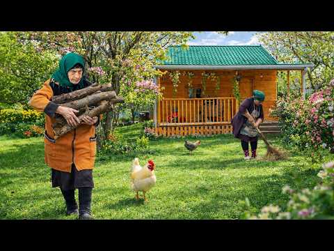Grandma’s Daily Village Life | Delicious Meatball Pilaf