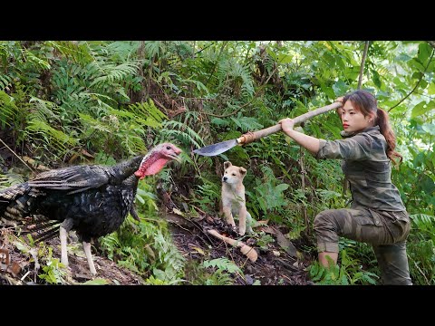 Set traps, catch mice, detect, track and chase turkeys,