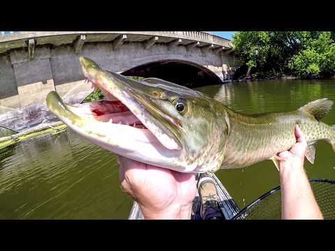 INSANE Day Fishing For River Monsters