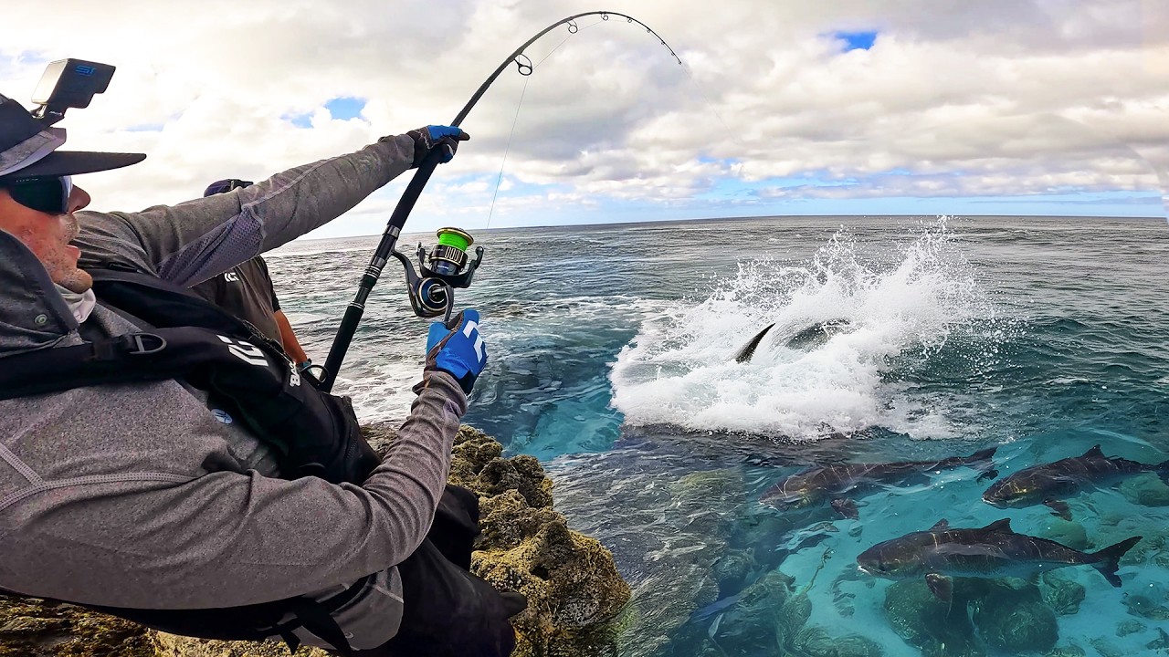 Fishing Until I Catch a Giant from the Shore