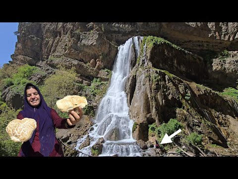 A trip to the mountains: picking rare plants and mushrooms