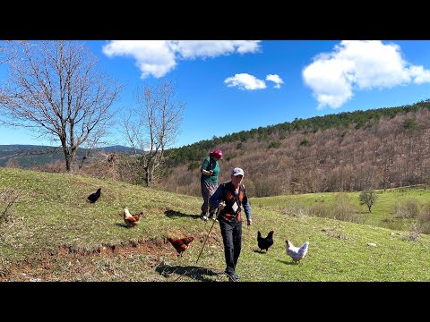 Dağ Köyünde Günlük Yaşam Köy Hayatı - Belgesel