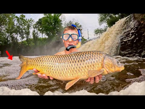 Fishing a FLOODING Waterfall FULL of Fish