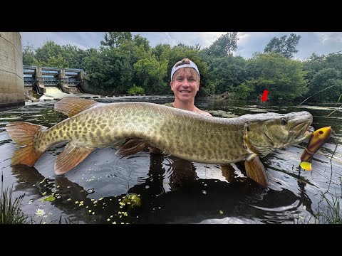 2 Days Swamp Fishing GIANT MUSKIES & Spillway Car Camping