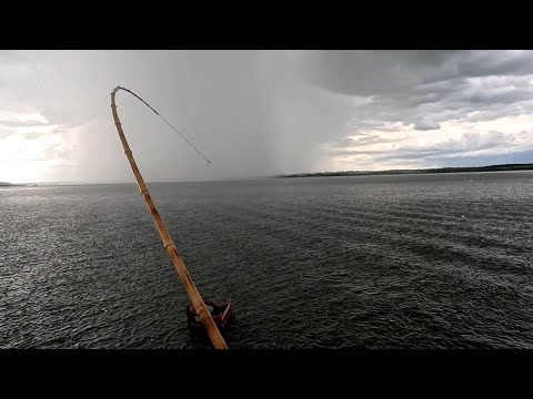 Tempestade caindo e peixes pra todo lado não dava tempo de
