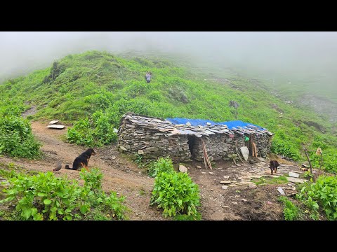 This is Himalayan Nepali Mountain Village Life Heavy Rainy
