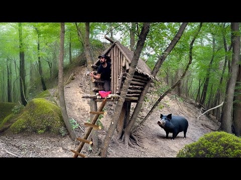 Building a Survival Shelter in a Tree Using Clay and