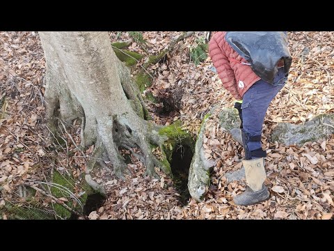 Tiny Hole Under A Tree Kept Everyone Out First Footage